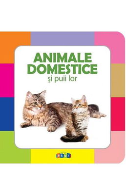 Animale domestice si puii lor