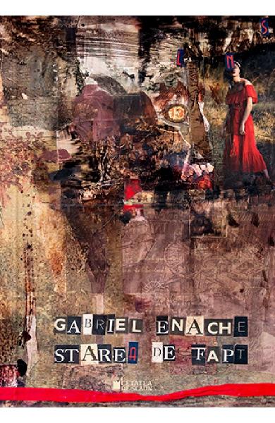 Starea de fapt - Gabriel Enache