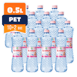 Aquatique plata PET 0.5 L, 10+2 Gratis bax