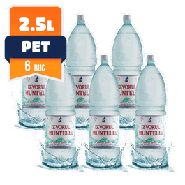 Izvorul Muntelui plata PET 2.5 L, 6 buc/bax