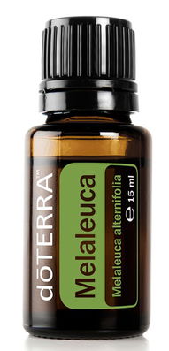 Ulei Doterra Melaleuca, Arbore de Ceai, 15 ML