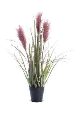 Plantă Artificială în Ghiveci Inne Bărbaţi Multicolor