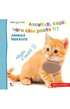 Bebe invata. Ascultati, copii, oare cine poate fi? Animale indragite