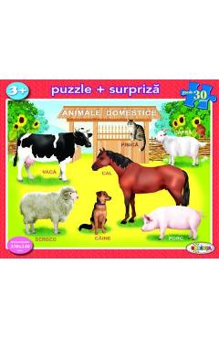 Animale domestice