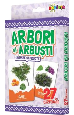 Arbori si arbusti, frunze si fructe. 27 de cartonase