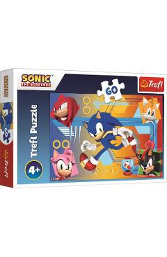 Puzzle 60. Sonic in actiune