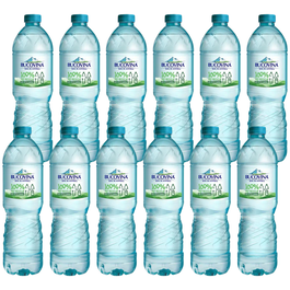 Bucovina Plata PET 1 L 12 buc/bax