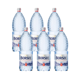 Borsec plata pet 1L 6 buc/bax