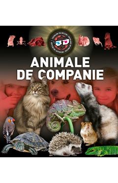 Animale de companie 3D