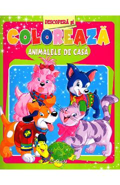 Descopera si coloreaza animalele de casa