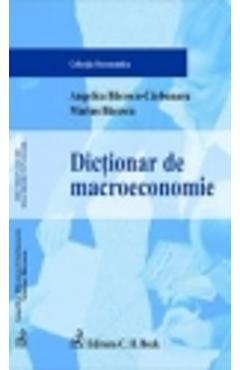 Dictionar de macroeconomie - Angelica Bacescu-Carbunaru