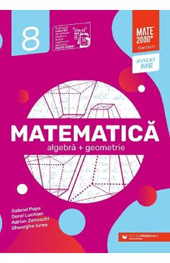 Matematica - Clasa 8 - Standard - Gabriel Popa, Dorel Luchian, Adrian Zanoschi, Gheorghe Iurea