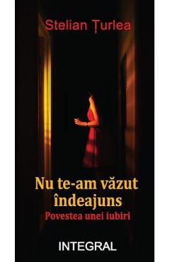 Nu te-am vazut indeajuns. Povestea unei iubiri - Stelian Turlea