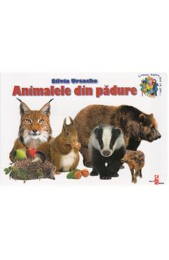 Animalele din padure - Silvia Ursache