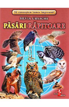 Pasari rapitoare - Cartonase - Silvia Ursache