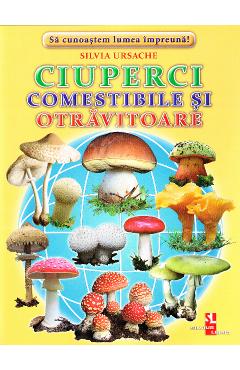 Ciuperci comestibile si otravitoare - Cartonase - Silvia Ursache