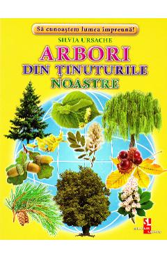 Arbori din tinuturile noastre - Cartonase - Silvia Ursache