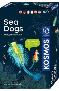 Kit STEM: Animale marine
