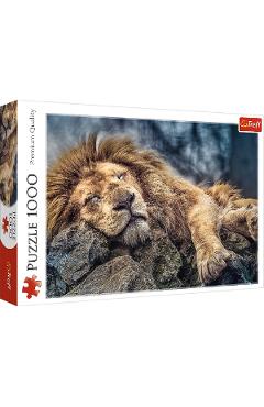 Puzzle 1000: Leu dormind