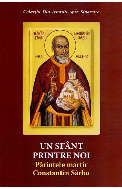 Un sfant printre noi. Parintele martir Constantin Sarbu Ed.2 - Danion Vasile
