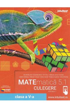 Matematica 5.1 - Clasa 5 - Culegere Vol.1 - David Brumar, Ion Cicu, Mihaela Anca Coroian, Liana Olarasu, Razvan Ceuca, Ioana Iacob, Raluca Ciurcea, Silvia Mares