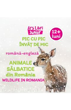 Pic cu pic invat de mic: Animale salbatice din Romania. Editie bilingva