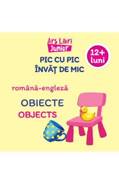 Pic cu pic invat de mic: Obiecte. Editie bilingva