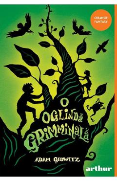 O oglinda grimminala - Adam Gidwitz