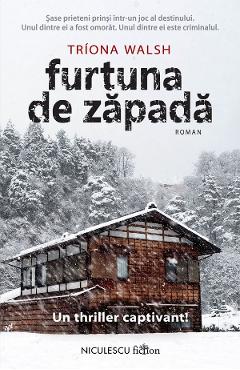 Furtuna de zapada - Triona Walsh