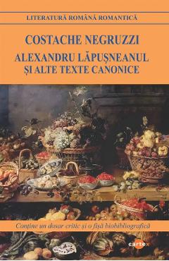 Minunatele ispravi ale vestitului cavaler Don Quijote - Miguel de Cervantes