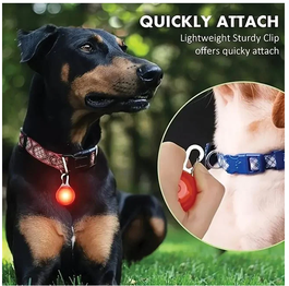Lumina Suspendabila cu LED pentru Zgarda Animalului de Companie Ø3x1.8cm