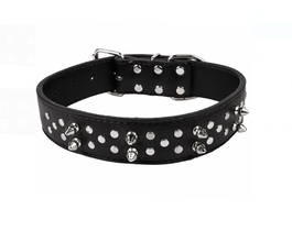 Zgarda pentru catei 60x3.8cm