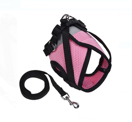 Ham Roz cu Lesa pentru Caini (S) 118x1.5cm