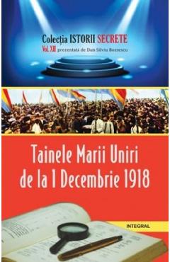 Istorii secrete vol.12: Tainele Marii Uniri de la 1 Decembrie 1918 - Dan-Silviu Boerescu
