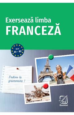 Exerseaza limba franceza - Michael Deneux