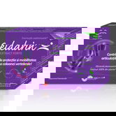 Celadrin Extract Forte 500 mg, 60 capsule, Good Days Therapy