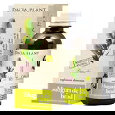 Sirop Muguri de brad, 200ml, Dacia Plant