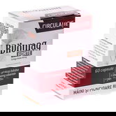 Bilomag Forte Circulatie, 60 capsule, Zdrovit
