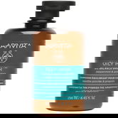 Apivita Hair Sampon pentru par gras, 250ml