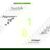 Polygemma 1 Stomac, 50ml, PlantExtrakt