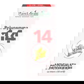 Polygemma 14 Articulatii detoxifiere, 50ml, PlantExtrakt