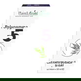 Polygemma 5 Cavitate bucala si gat, 50ml, PlantExtrakt