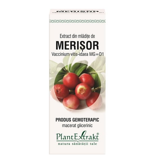 Extract din mladite de merisor, 50ml, PlantExtrakt