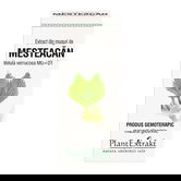 Extract din muguri de mesteacan, 50ml, PlantExtrakt