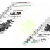 Extract din mladite de cimisir, 50ml, PlantExtrakt