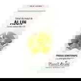 Extract din muguri de Alun, 50ml, PlantExtrakt