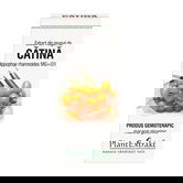 Extract din muguri de Catina, 50ml, PlantExtrakt