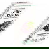 Extract din mladite de lemn cainesc, 50ml, PlantExtrakt