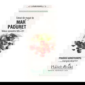 Extract din muguri de Mar Paduret, 50ml, PlantExtrakt
