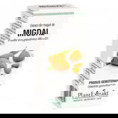 Extract din muguri de migdal, 50ml, PlantExtrakt